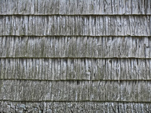 Texture des vieux copeaux de bois — Photo