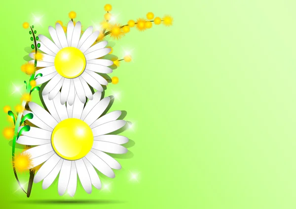 节日贺卡含羞草与 8 从雏菊绿色背景上国际妇女节的形状。3 月 8 日 — 图库矢量图片