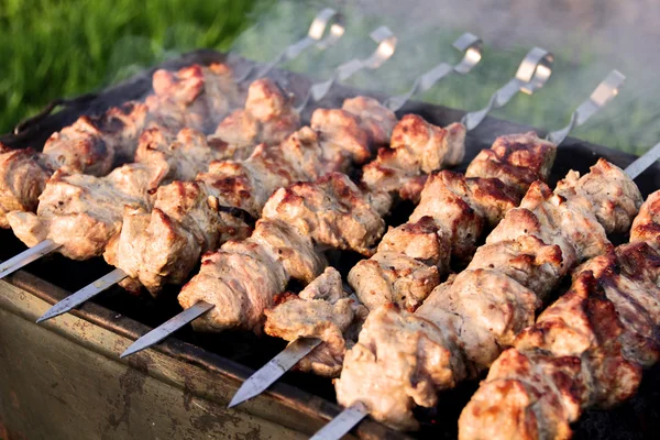 Voorbereid op spiesjes rundvlees shish kebab — Stockfoto