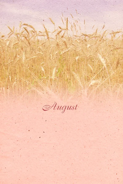 Fundo vintage estilizado para o mês de calendário. Agosto — Fotografia de Stock