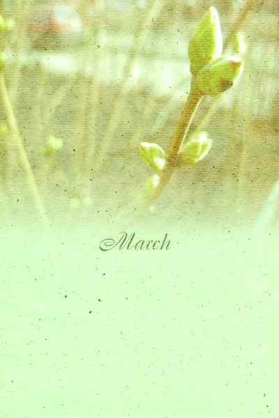 Стилизованный винтажный фон для календарного месяца. Март — стоковое фото