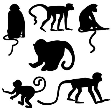Maymun beyaz arka planda siyah siluetleri