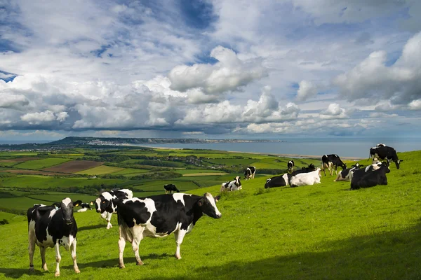 Dorset kırsal Portland ve filo bakan