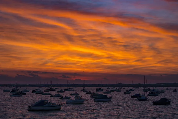 Solnedgång över båtar i Poole Harbour — Stockfoto