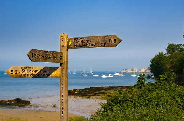 Studland 푯 말과 해변 근처 오래 된 해리 바위 — 스톡 사진