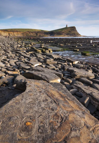 Fossil hunting on the Dorset coastline — Stock Photo, Image