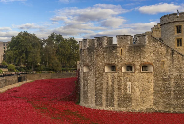 London, UK - October 18, 2014: Art installation 'Blood Swept Lan — Stock Photo, Image