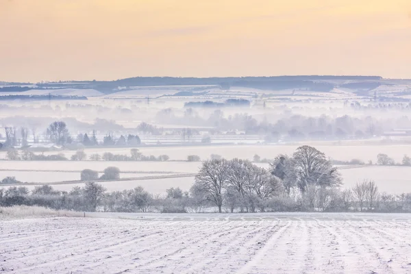 Niebla de invierno sobre campos cubiertos de nieve —  Fotos de Stock