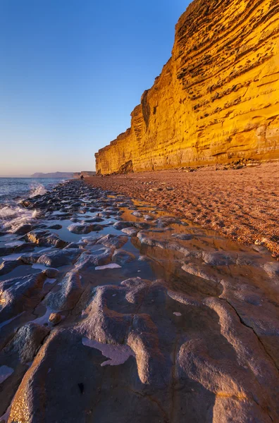 Goldene Klippen an der Westbucht an der jurassischen Küste von Dorset Englan — Stockfoto