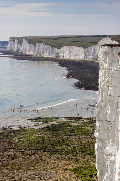 White Chalk Cliffs and shible beaches at the Seven Sisters
, 
