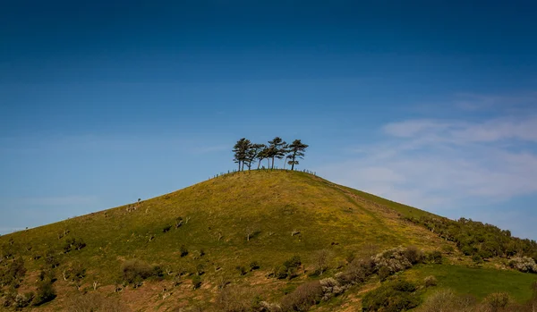 Colmer's Hill nel Dorset, Inghilterra — Foto Stock
