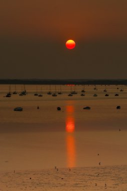 Poole Harbour günbatımı sahil sahne