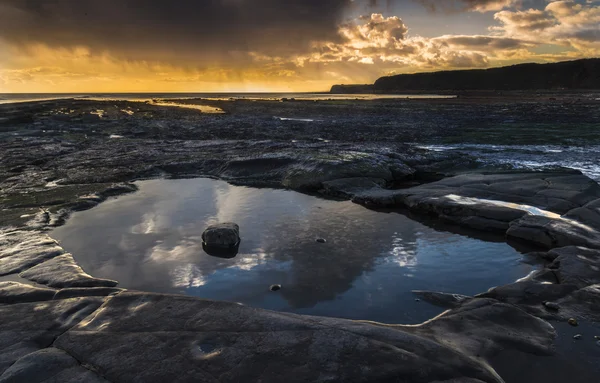 Ora d'oro a Kimmeridge sulla costa del Dorset — Foto Stock