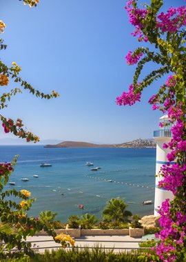 Türkiye'de Deniz Manzaralı deniz feneri