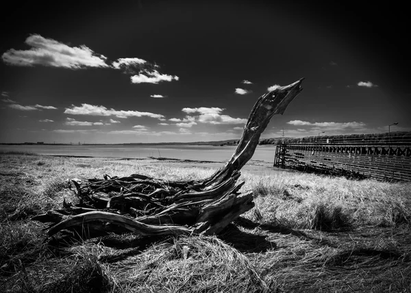 Antiguo muelle de madera en Sharpness —  Fotos de Stock