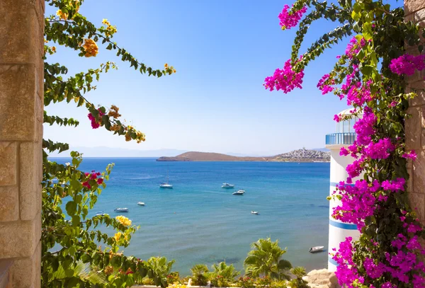 Helderblauwe wateren en mooie bloemen kunnen worden gezien uit het verleden de Lig — Stockfoto