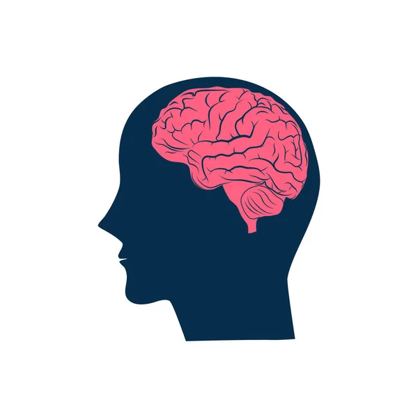 Människans Huvud Och Hjärna Ikon Tänk Konceptet Isolerad Vit Bakgrund — Stock vektor
