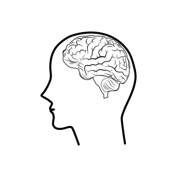 Icône Tête Humaine Cerveau Concept Mental Isolé Sur Fond Blanc — Image vectorielle