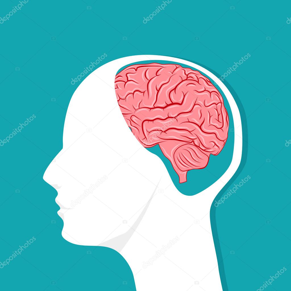 The brain in the human head. Thoughts in the human head. Vector illustration eps
