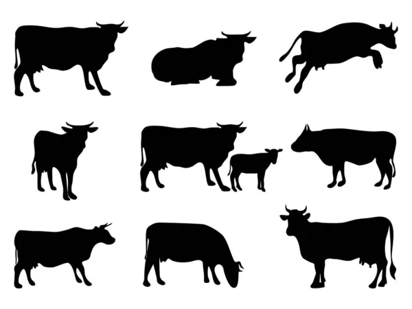 Kollektion Von Kuh Und Kalb Silhouette Isoliert Auf Weißem Hintergrund — Stockvektor