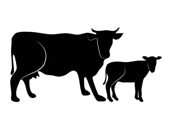 黑色的轮廓奶牛在白色背景下被隔离 矢量说明 — 图库矢量图片