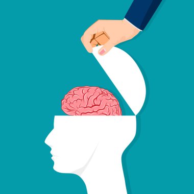 İnsan kafası beyinle açılır. Vektör çizimi. İnsan kafa profili