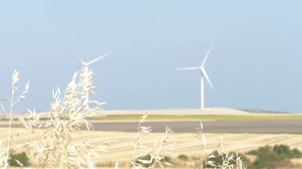 Turbina Eólica Num Campo Trigo Conceito Energias Renováveis Que Não — Vídeo de Stock