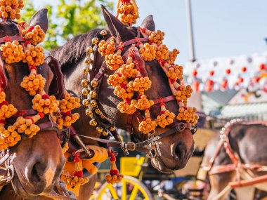 Seville Nisan Fuarı 'nda süslü atlar, canlı dekorasyonlar sergilemek, olayı canlı ve renkli hale getirmek..