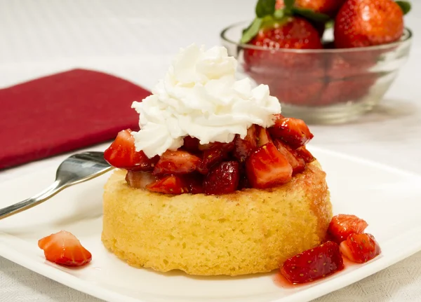 Erdbeer-Shortcake Stockbild