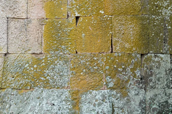 Pierre grise recouverte de tirets de lichen vert — Photo