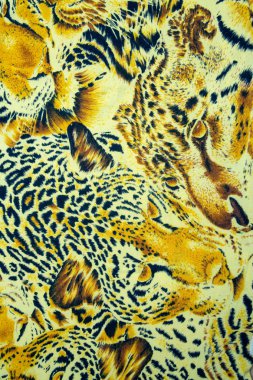 Bangkok, Tayland, 28 Mart 2016, kaplan ve leopar ve vahşi Ani