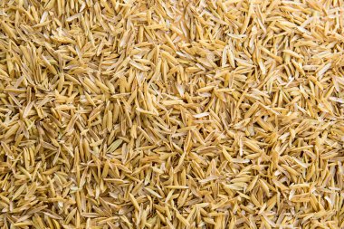 Çeltik pirinç arka plan