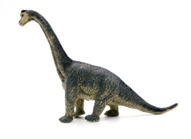 Brachiosaurus dinozorlar oyuncak beyaz arka plan üzerinde