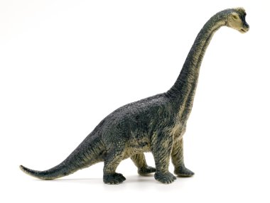 Brachiosaurus dinosaurs toy on white background clipart