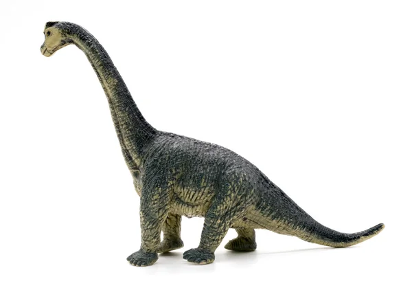 Brachiosaurus dinozorlar oyuncak beyaz arka plan üzerinde — Stok fotoğraf