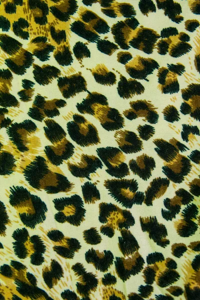 Leopard cuir motif texture fond — Photo