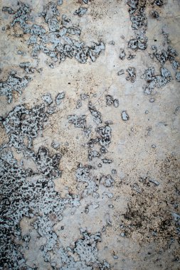 grunge beton duvar arka planı