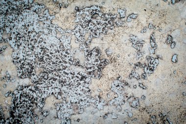 grunge beton duvar arka planı