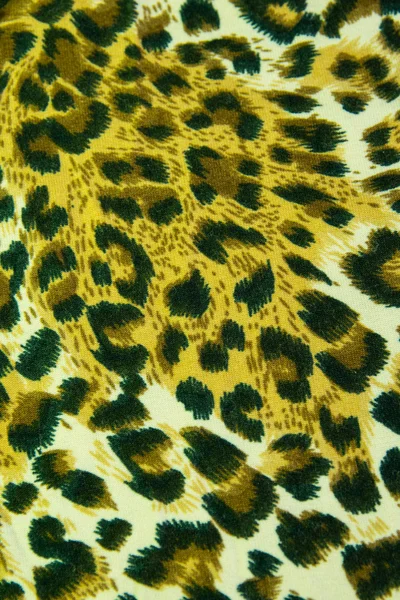 Leopard cuir motif texture fond — Photo