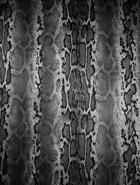 Yazdırma kumaş çizgili yılan için arka plan dokusu