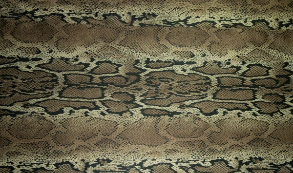 배경 인쇄 직물 줄무늬 뱀의 질감 — 스톡 사진