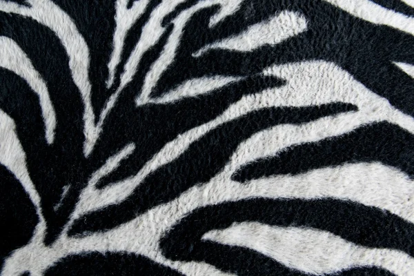 Texture of print fabric stripes zebra for background — Stock Photo, Image