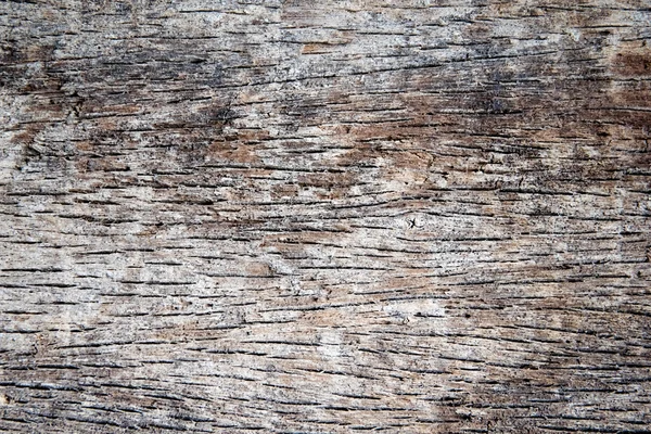 Natuurlijke oude hout achtergrond — Stockfoto