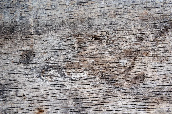 Natuurlijke oude hout achtergrond — Stockfoto