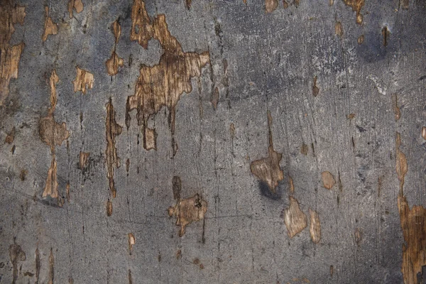 Φυσικό παλιό ξύλο ιστορικό — Φωτογραφία Αρχείου