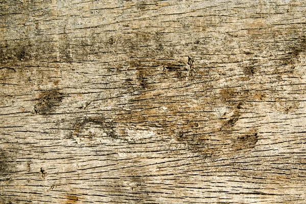 Natuurlijke oude hout achtergrond — Stockfoto