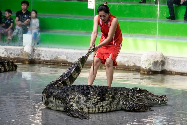 Chon Buri, Thailand - 1 januari 2015: krokodil show op crocodil — Stockfoto