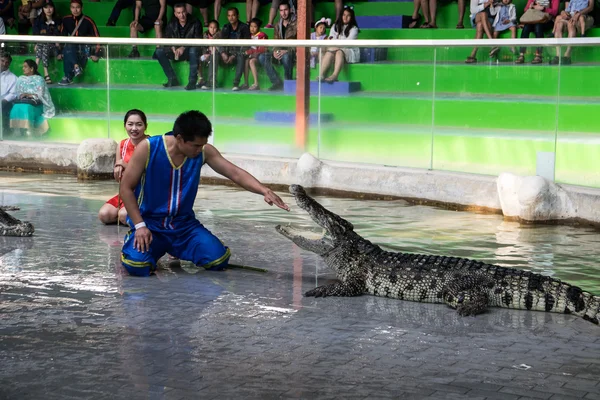 Chon Buri, Thailand - 1 januari 2015: krokodil show op crocodil — Stockfoto