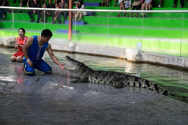 Chon Buri, Thailand - 1 januari 2015: krokodil show op crocodil — Stockfoto