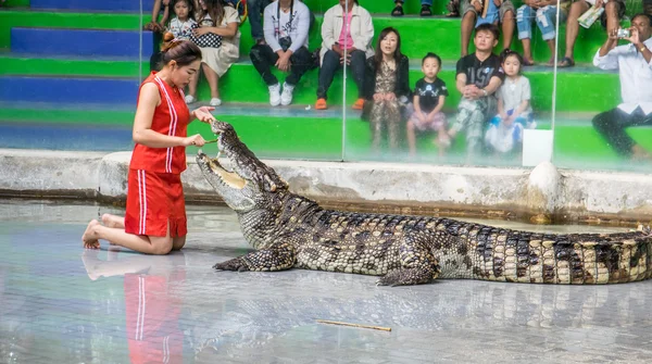 촌 부리, 태국-1 월 1 2015: 악어 쇼 crocodil — 스톡 사진